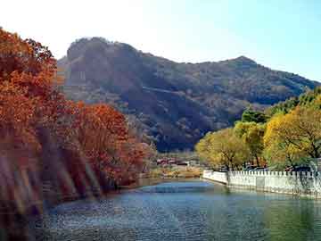 澳门天天免费精准大全，上海钢塑土工格栅